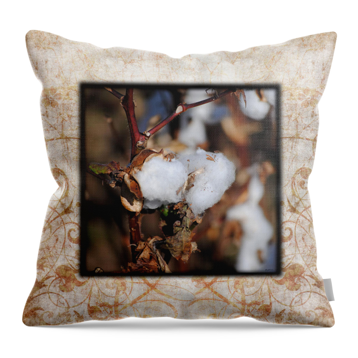 Brown Throw Pillow featuring the photograph Tennessee Cotton I Photo Square by Jai Johnson
