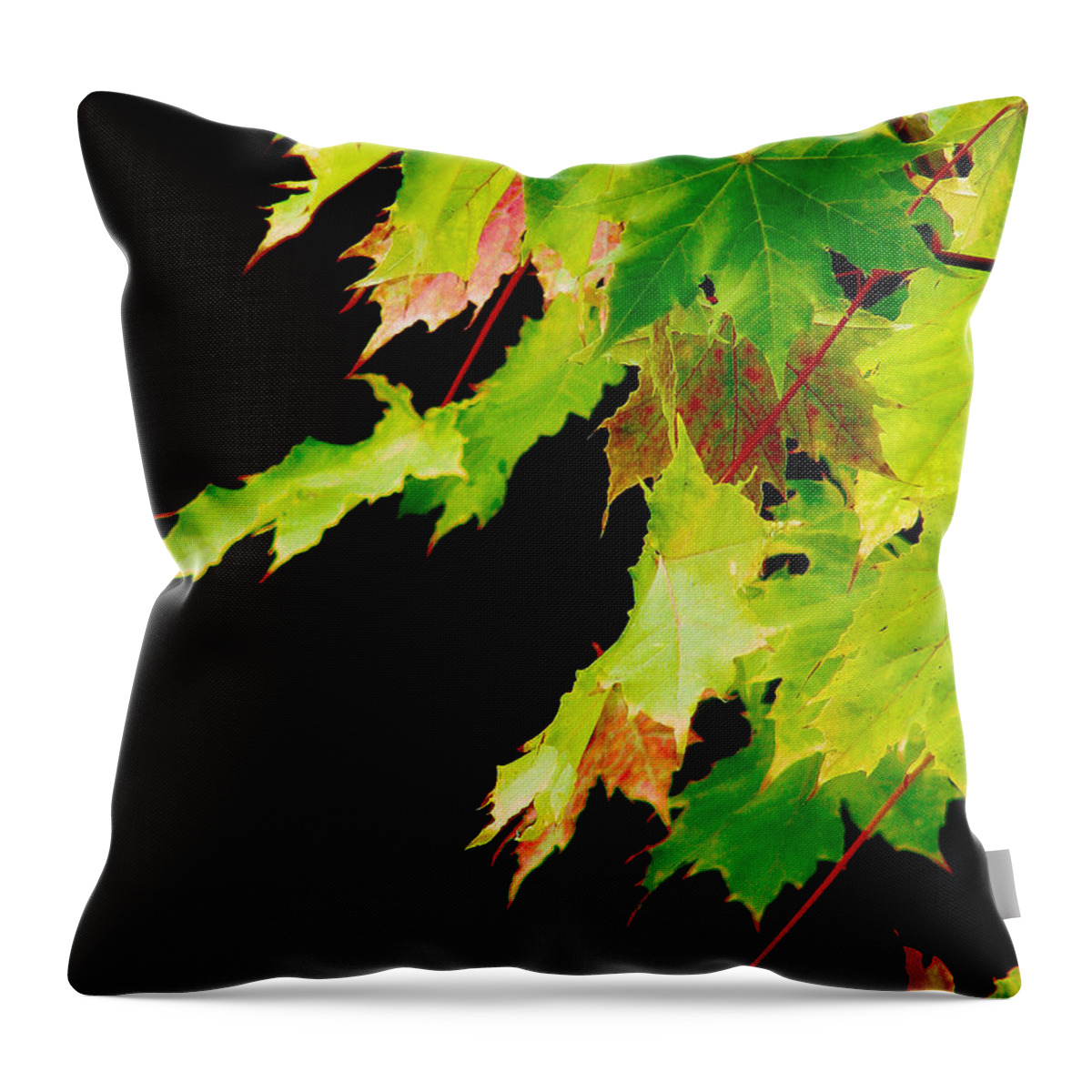 Maple Throw Pillow featuring the photograph The Beginning Of Change by Rory Siegel