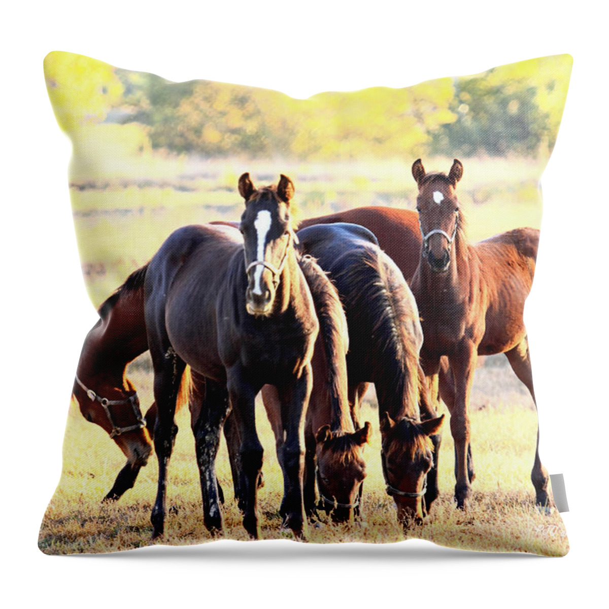  Throw Pillow featuring the photograph 'The Boys' by PJQandFriends Photography
