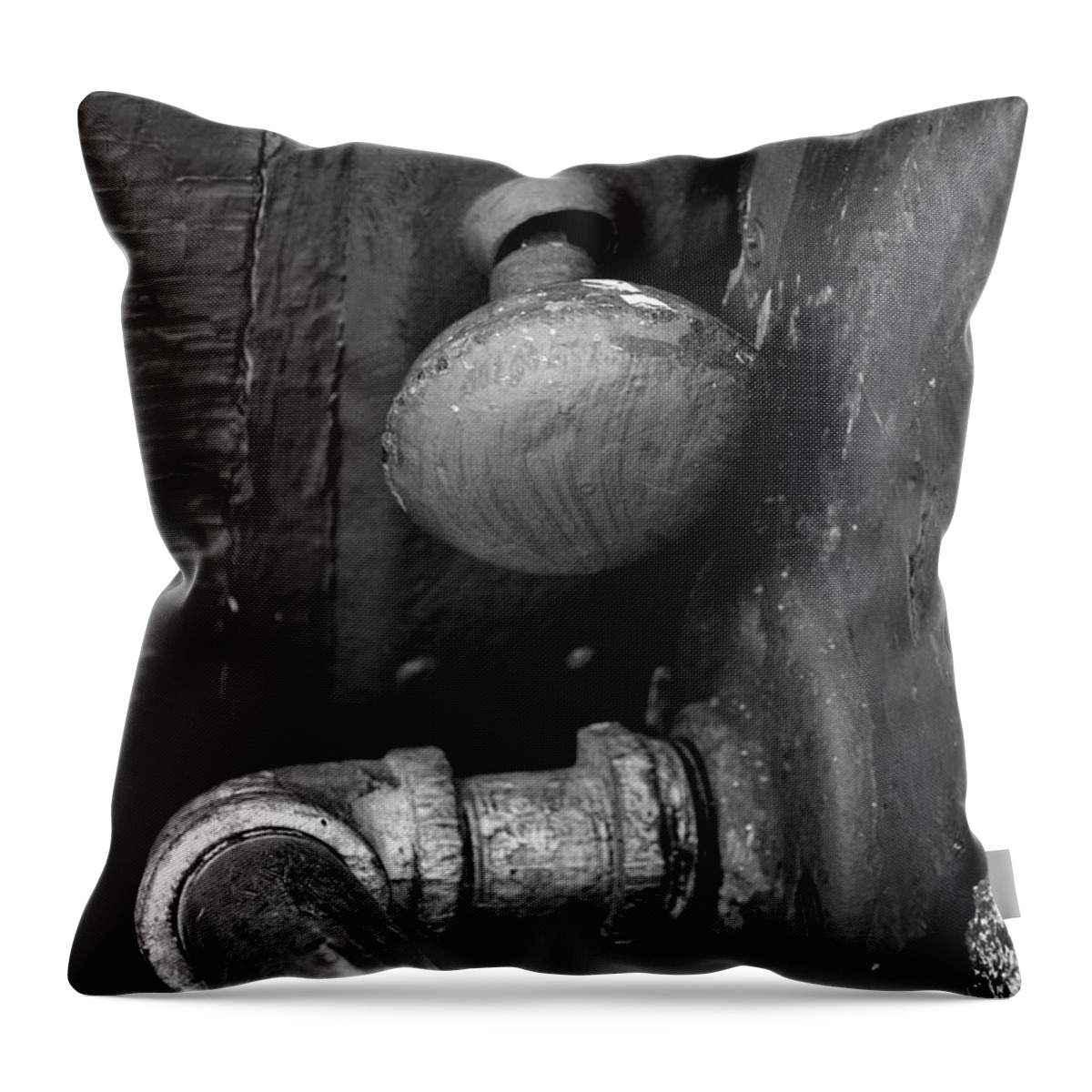 Black And White Throw Pillow featuring the photograph The Cellar by Ron Cline