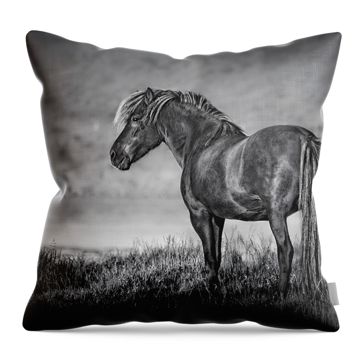 Horse Throw Pillow featuring the photograph The Dark Goddess by Evelina Kremsdorf