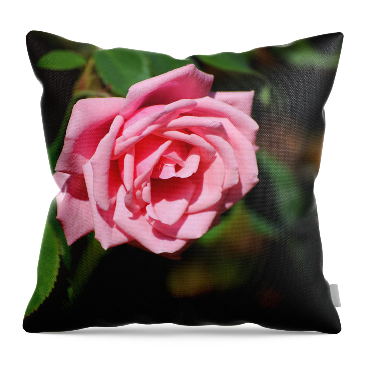 Autumn Throw Pillow featuring the photograph The Last Rose by Jai Johnson