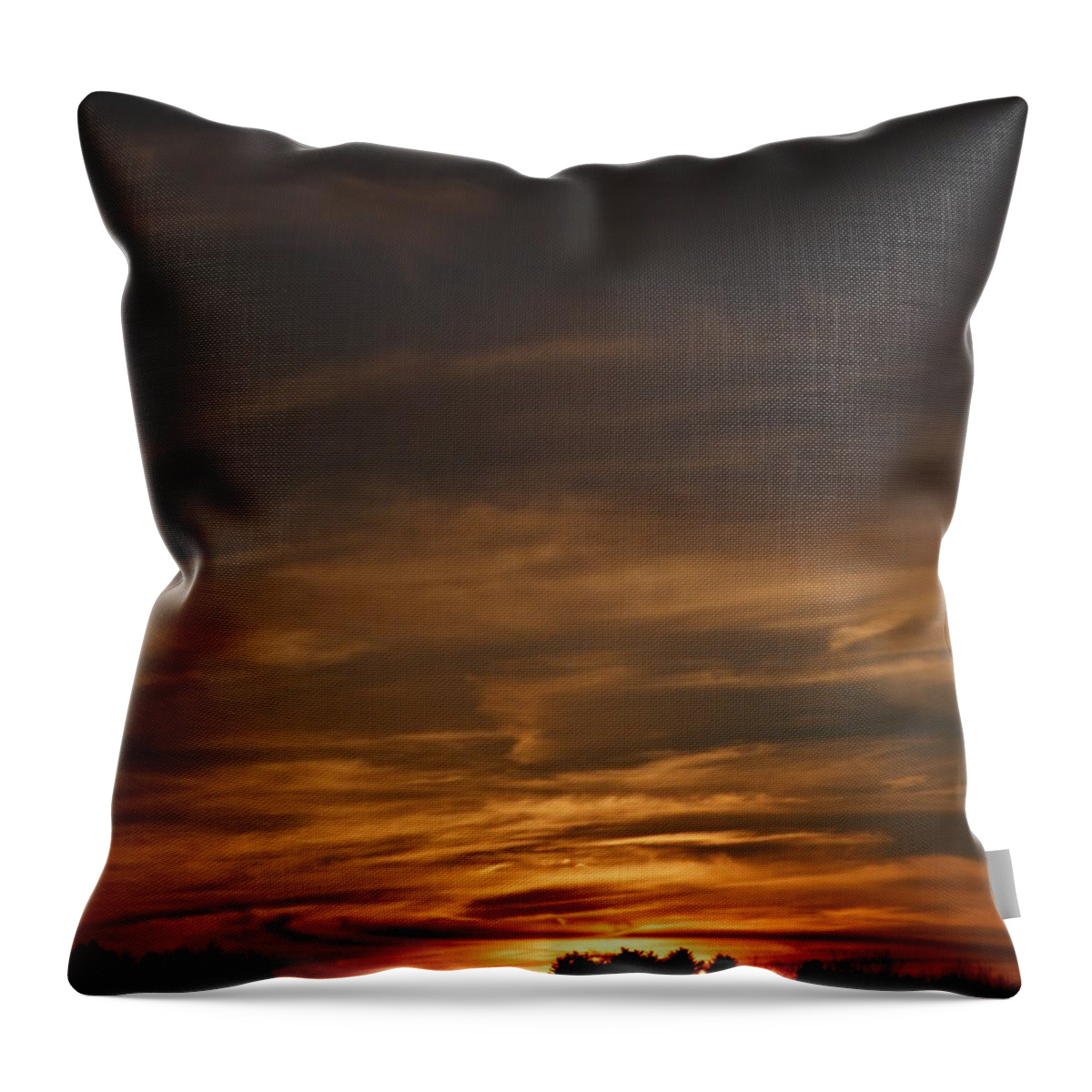 Sundown Throw Pillow featuring the photograph The richness of sundown by Kim Galluzzo Wozniak