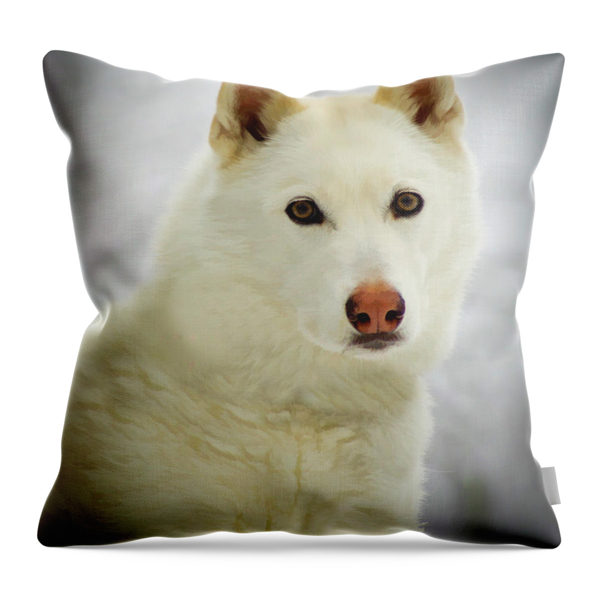 Husky Throw Pillow featuring the photograph The Stare by Joye Ardyn Durham