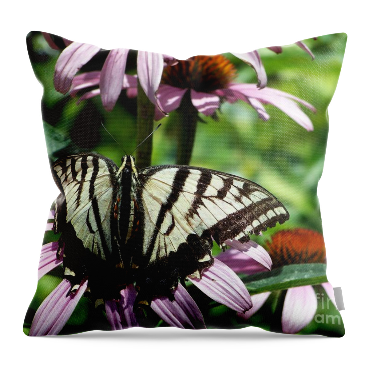Butterflies Throw Pillow featuring the photograph The Survivor by Dorrene BrownButterfield