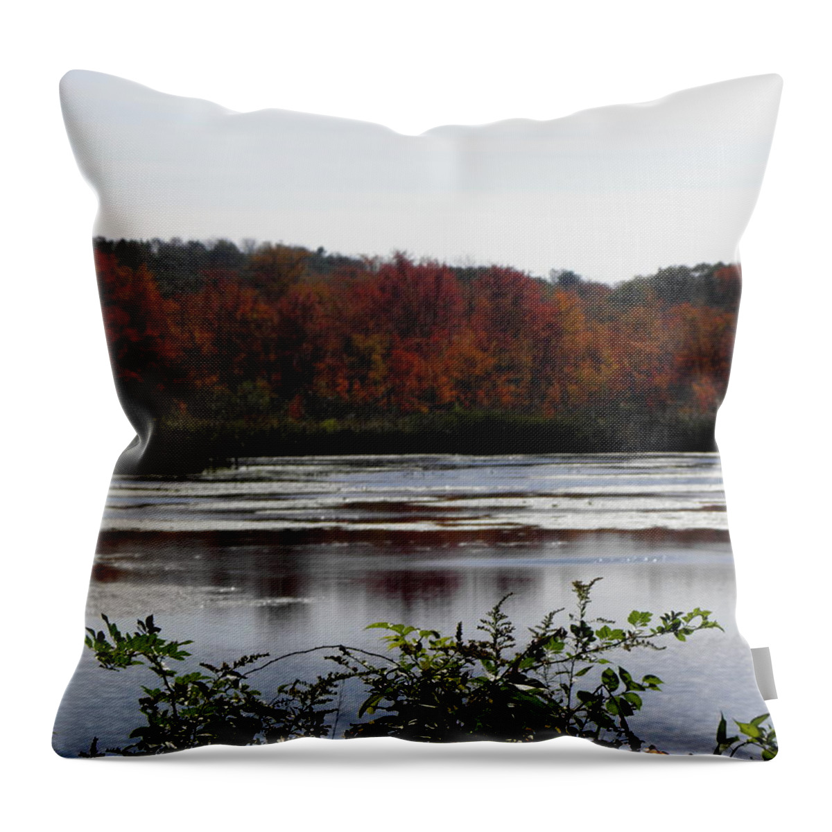 Autumn Throw Pillow featuring the photograph the trees are on FIRE by Kim Galluzzo Wozniak