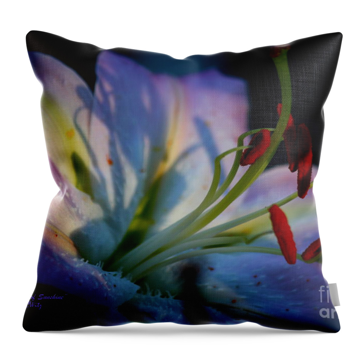 Lily Throw Pillow featuring the photograph Tiny Ray of Sunshine by Patrick Witz