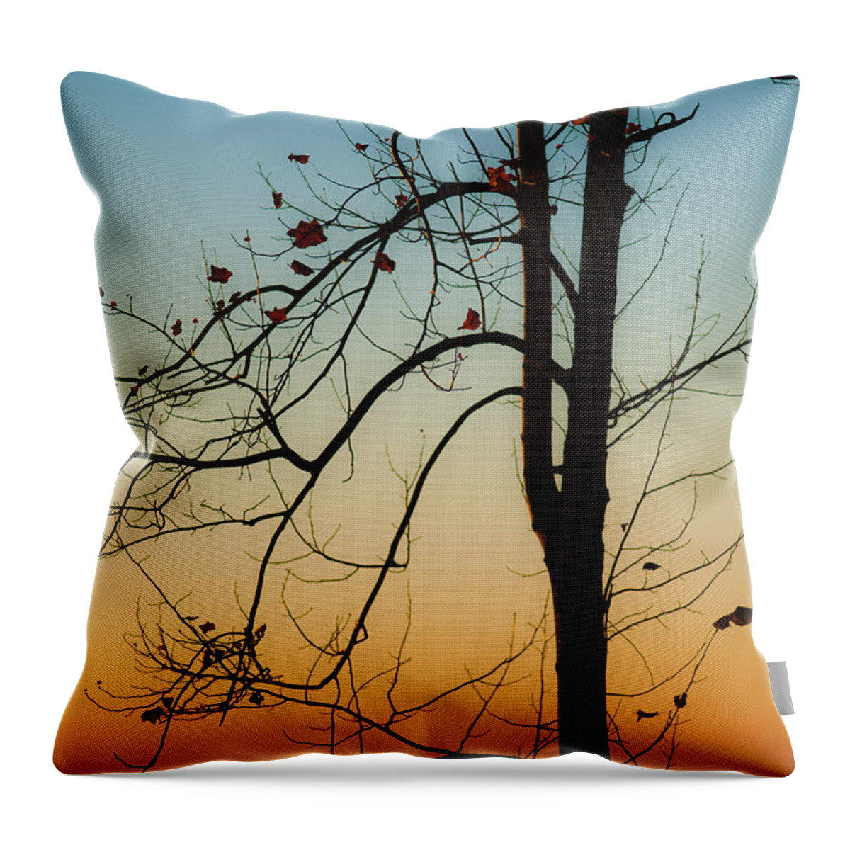 Landscape Throw Pillow featuring the photograph To The Morning by Joye Ardyn Durham