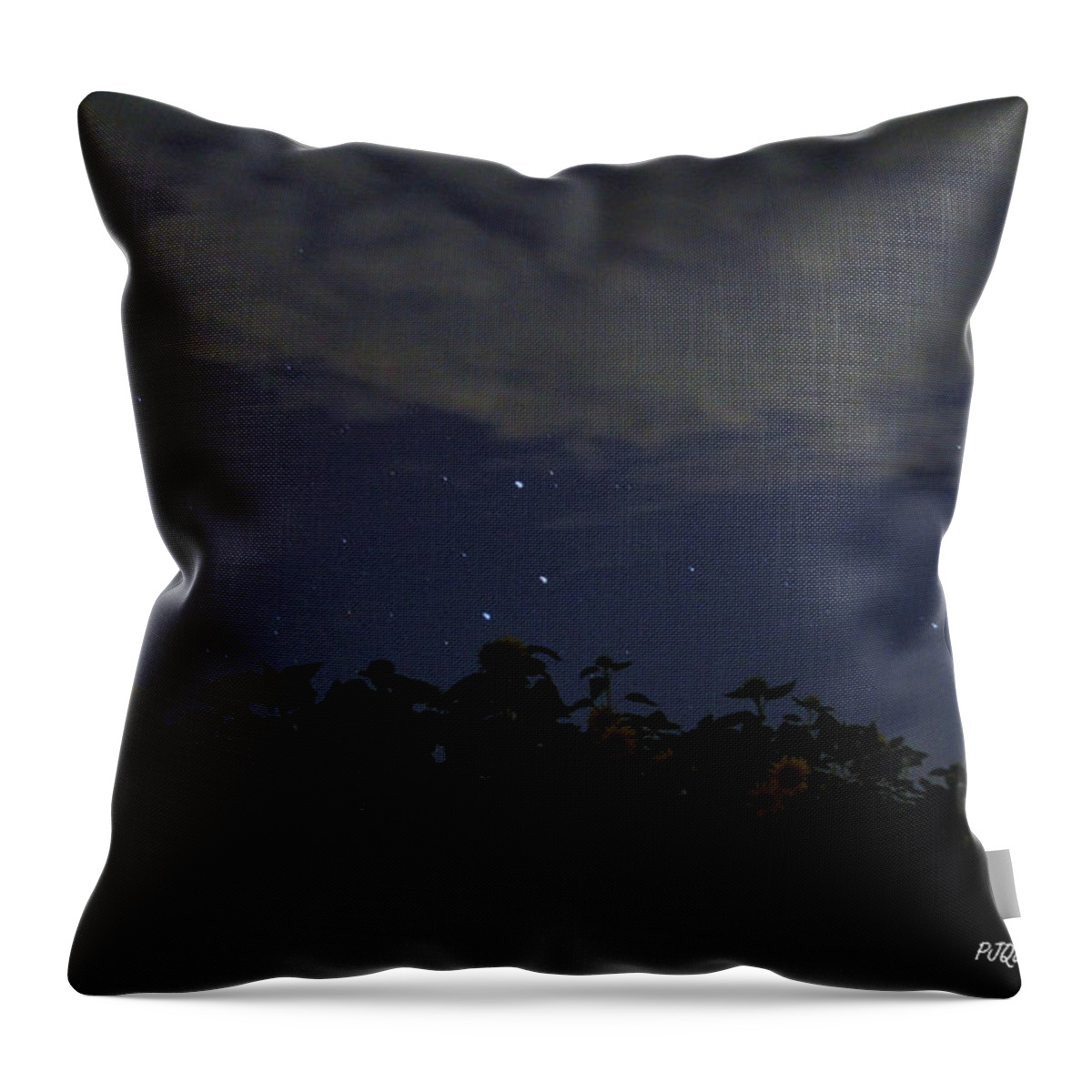  Throw Pillow featuring the photograph Trifecta at Crescent Farm by PJQandFriends Photography