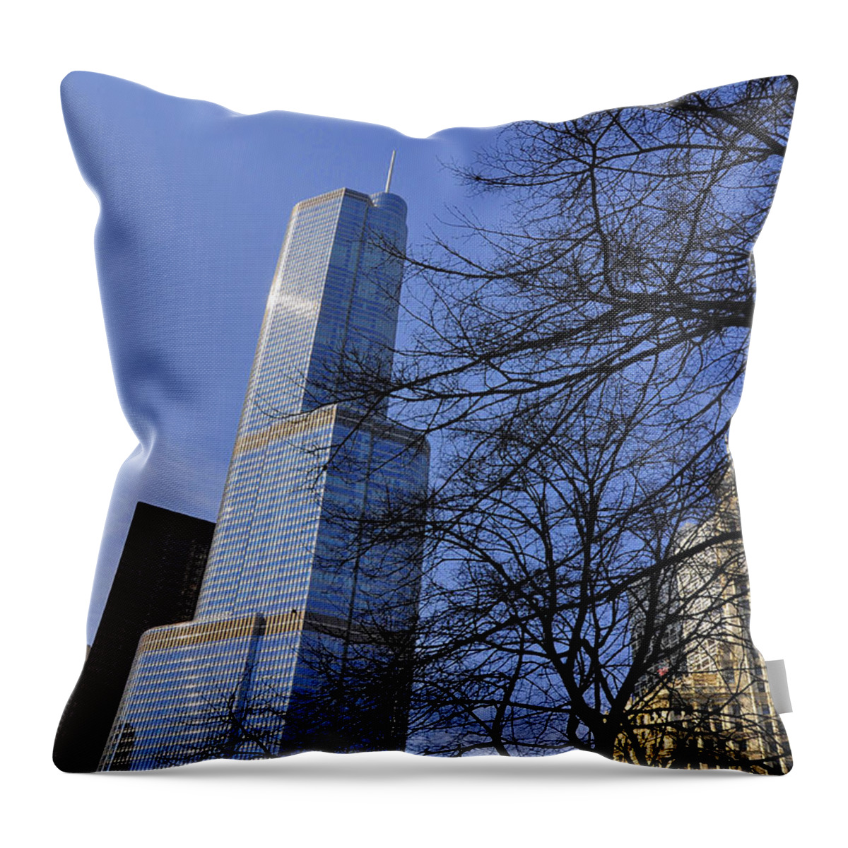 Trump Tower Throw Pillow featuring the photograph Trough the branches by Dejan Jovanovic