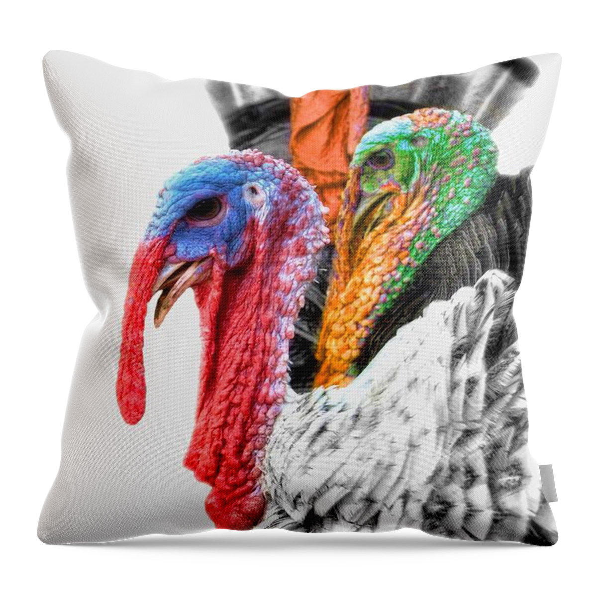 Yhun Suarez Throw Pillow featuring the photograph Turkeys Delight by Yhun Suarez