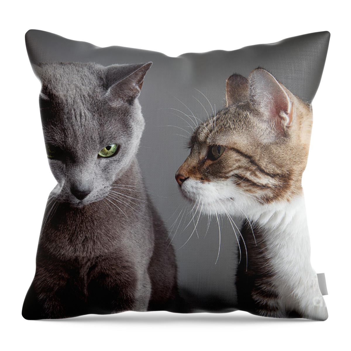 Cat Throw Pillow featuring the photograph Two Cats by Nailia Schwarz