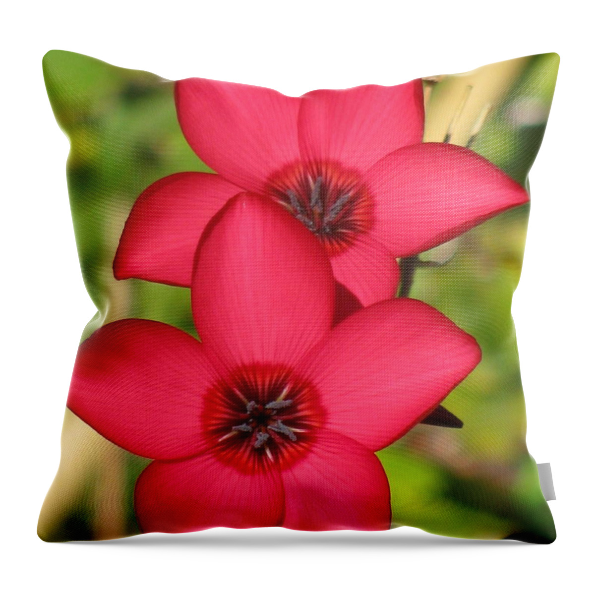 Flower Throw Pillow featuring the photograph Unanimous Photography by Tina Marie
