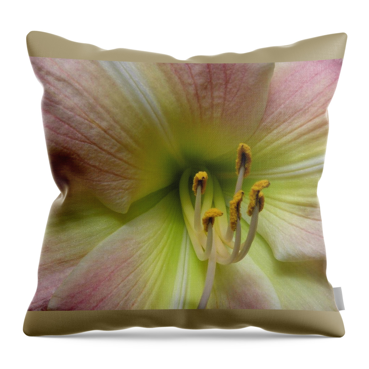Lily Throw Pillow featuring the photograph Up Close And Personal Beauty by Kim Galluzzo Wozniak