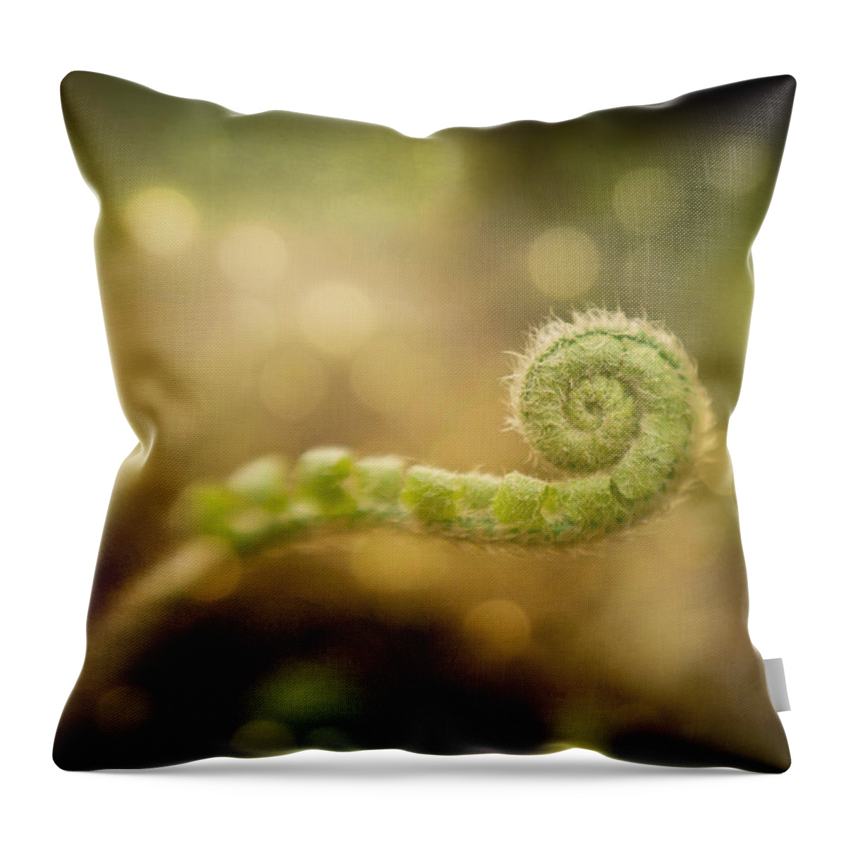 Spring Throw Pillow featuring the photograph Waiting to Unwind by Joye Ardyn Durham