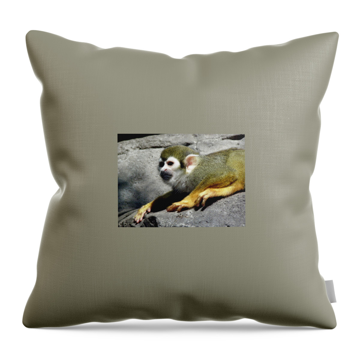 Monkey Throw Pillow featuring the photograph Watching Over by Kim Galluzzo Wozniak