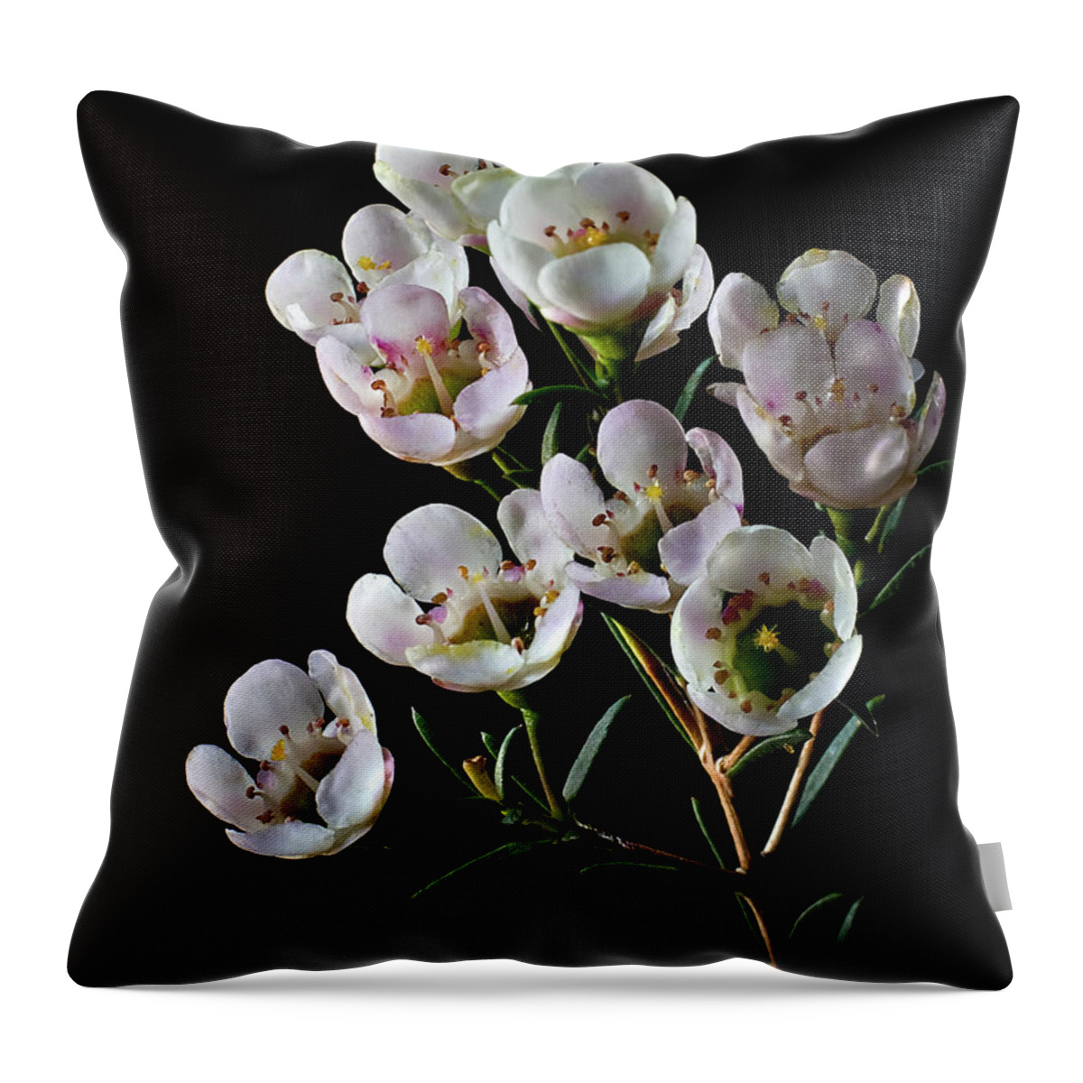 Flower Throw Pillow featuring the photograph Wax Flowers by Endre Balogh