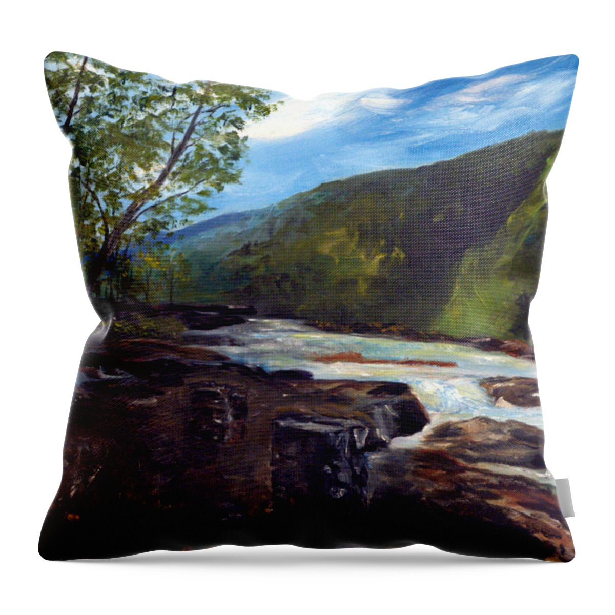 Webster Springs Stream Throw Pillow featuring the painting Webster Springs Stream by Phil Burton