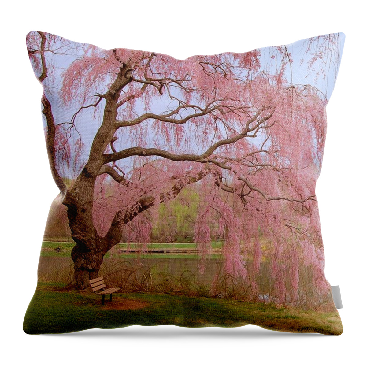 Cherry Blossom Trees Throw Pillow featuring the photograph Weeping Spring- Holmdel Park by Angie Tirado