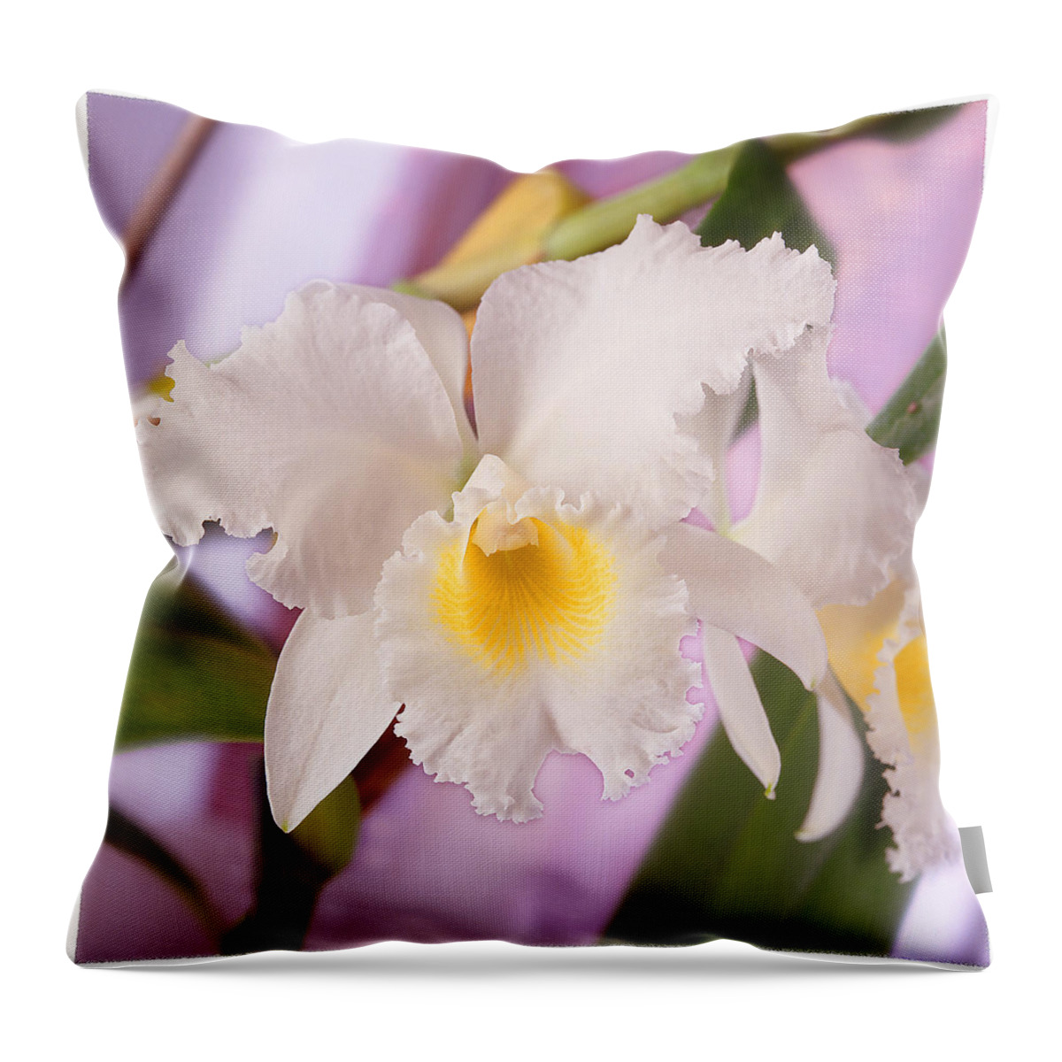 White Flower Throw Pillow featuring the photograph White Orchid by Mike McGlothlen