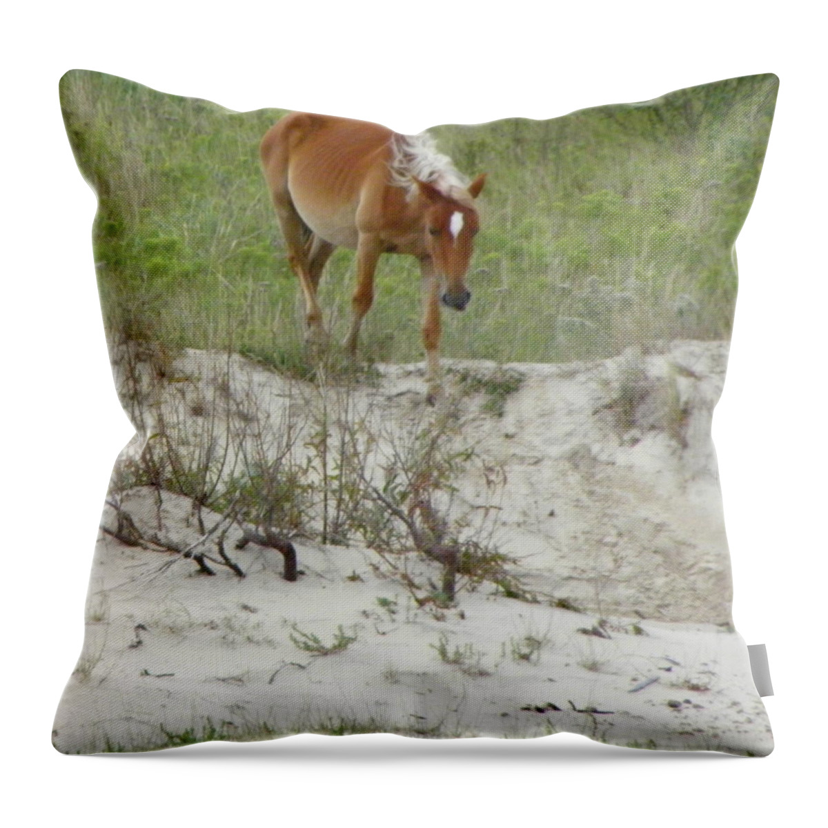 Mustang Throw Pillow featuring the photograph Wild Spanish Mustang of the Outer Banks of North Carolina by Kim Galluzzo Wozniak