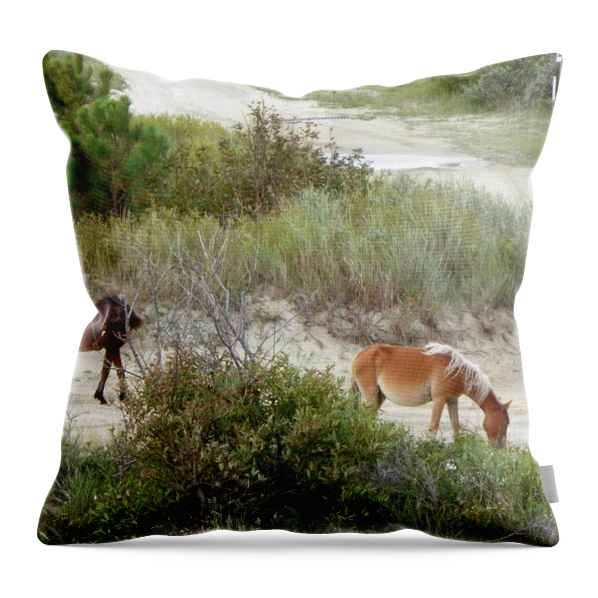 Wild Throw Pillow featuring the photograph Wild Spanish Mustangs of the Outer Banks of North Carolina by Kim Galluzzo Wozniak