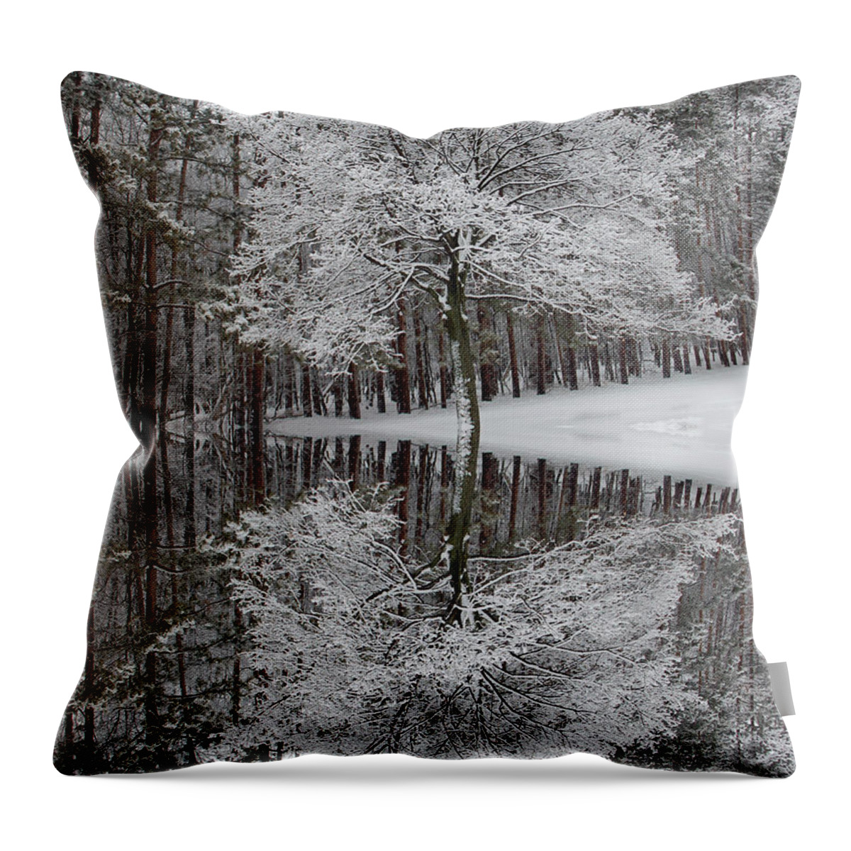 Winter Landscape Throw Pillow featuring the photograph Winter Reflection by Aimee L Maher ALM GALLERY