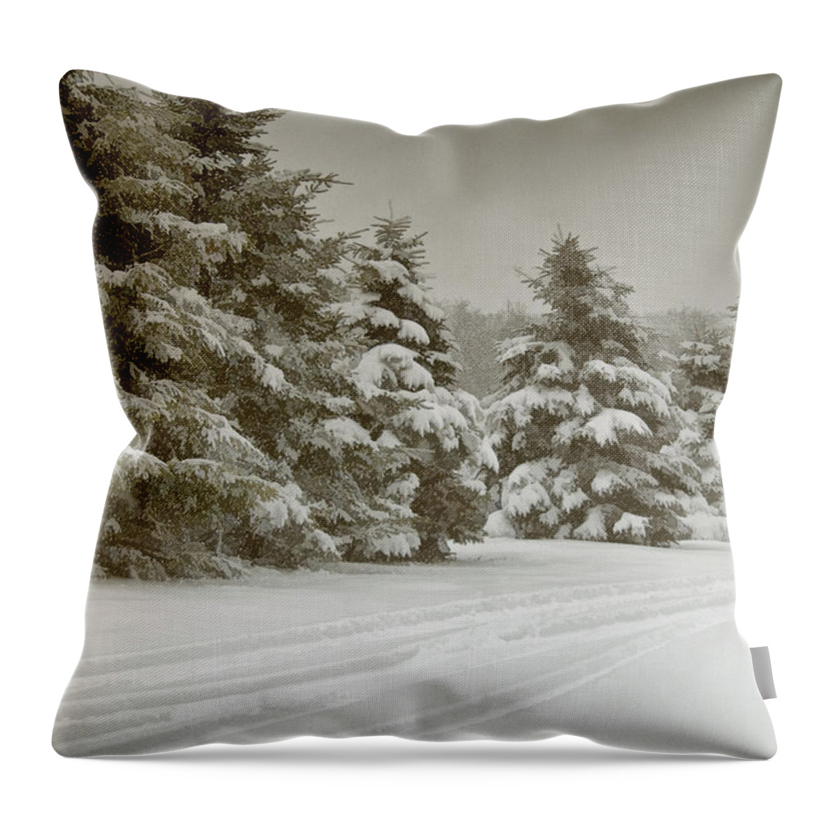 Pines Throw Pillow featuring the photograph Winter Trees by Cathy Kovarik