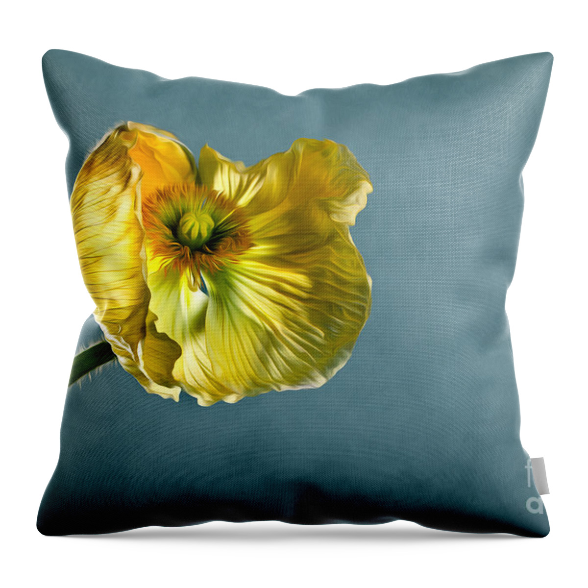 Poppy Throw Pillow featuring the photograph Yellow Poppy by Nailia Schwarz