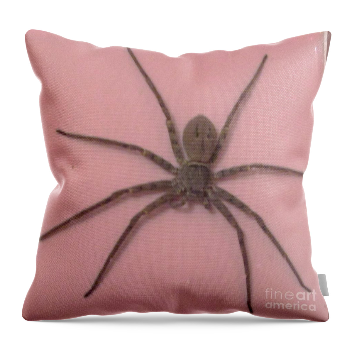 Brown Velvet Spider On Wall Tile Throw Pillow For Sale By Trudy