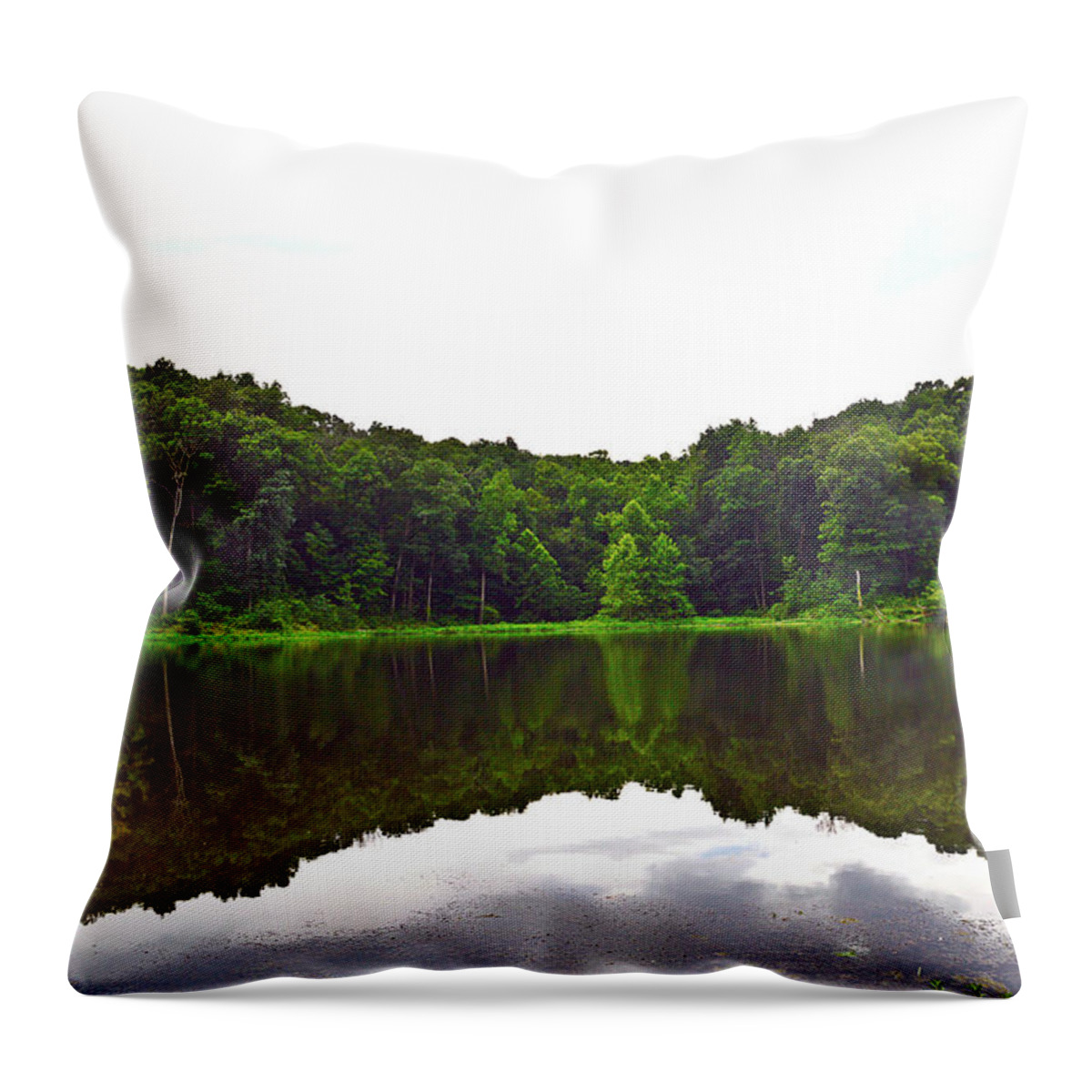Forest Water Reflection. Green Throw Pillow featuring the photograph Ferdinand Forest Reflection by Stacie Siemsen