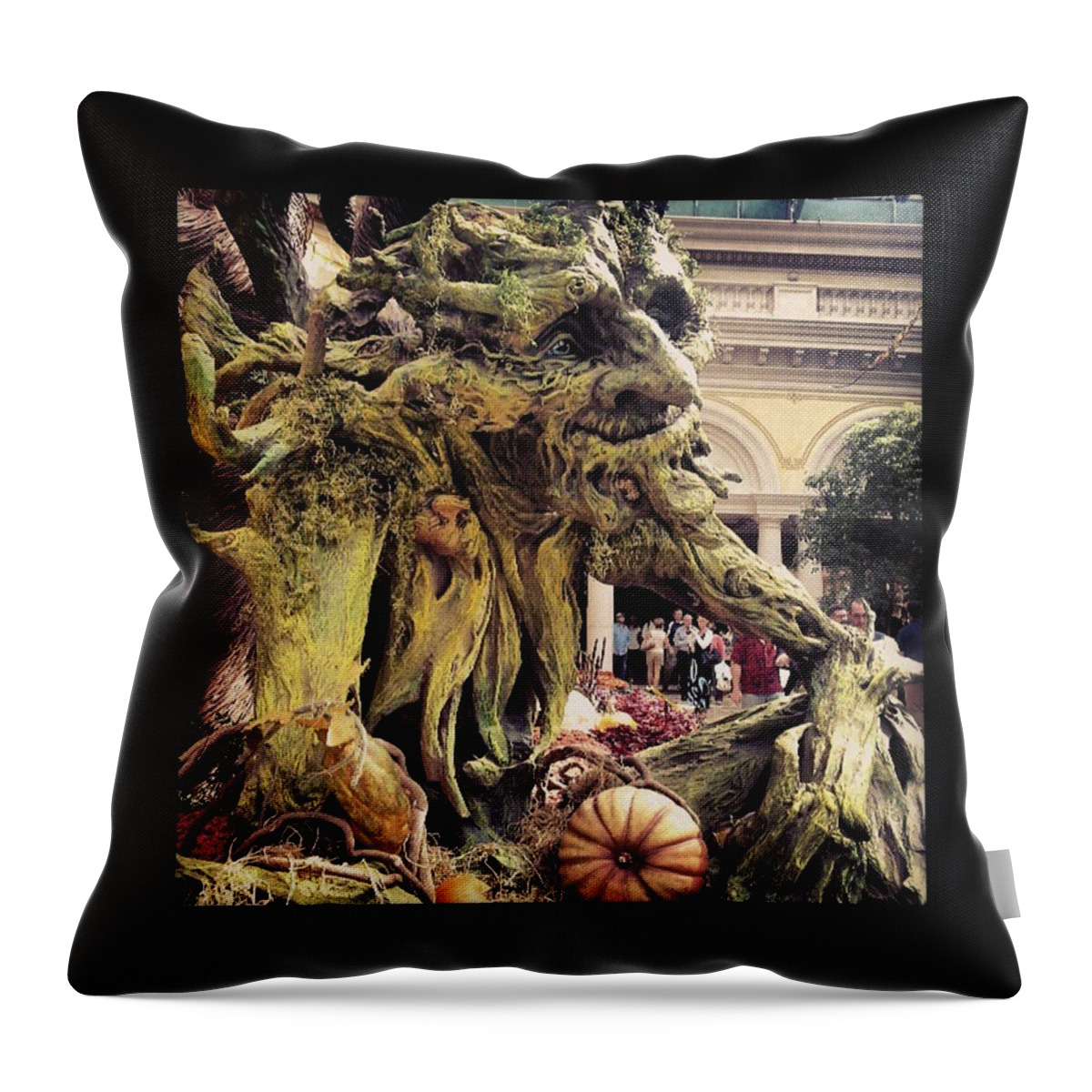 https://render.fineartamerica.com/images/rendered/default/throw-pillow/images/artworkimages/medium/1/-the-bellagio-garden-they-made-a-raymie-jackman.jpg?&targetx=37&targety=37&imagewidth=405&imageheight=405&modelwidth=479&modelheight=479&backgroundcolor=000000&orientation=0&producttype=throwpillow-14-14