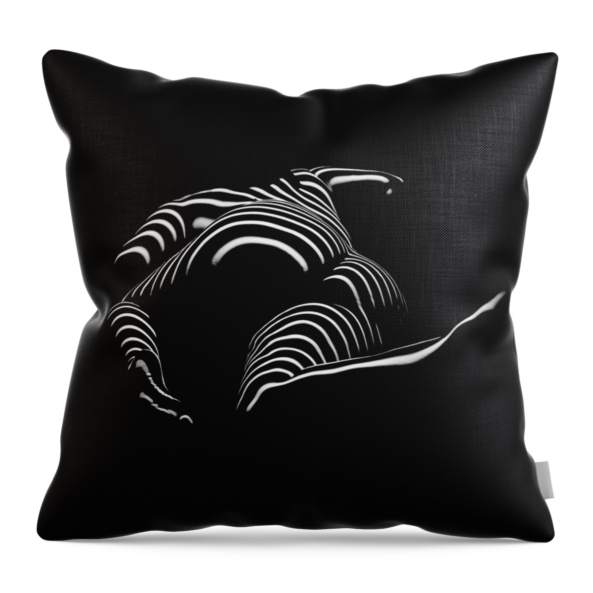 Chris Maher Throw Pillow featuring the photograph 0758-AR Rear View BBW Zebra Woman Large Full Figured Powerful Female Black and White Abstract Maher by Chris Maher