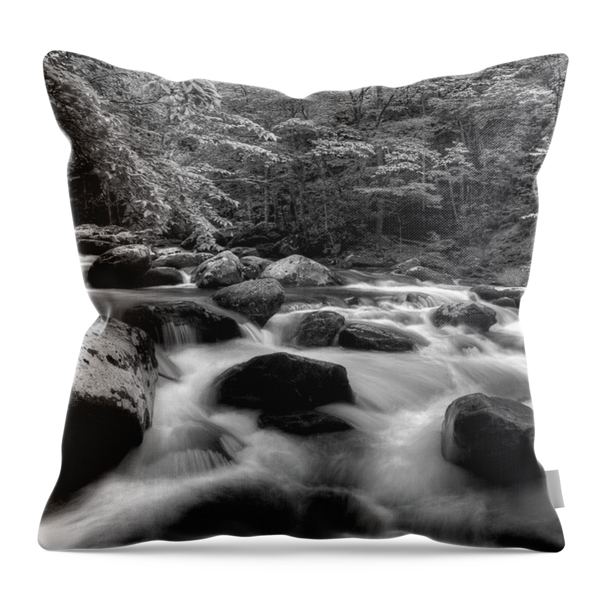 Monochrome River Scene Throw Pillow featuring the photograph A Black And White River by Mike Eingle