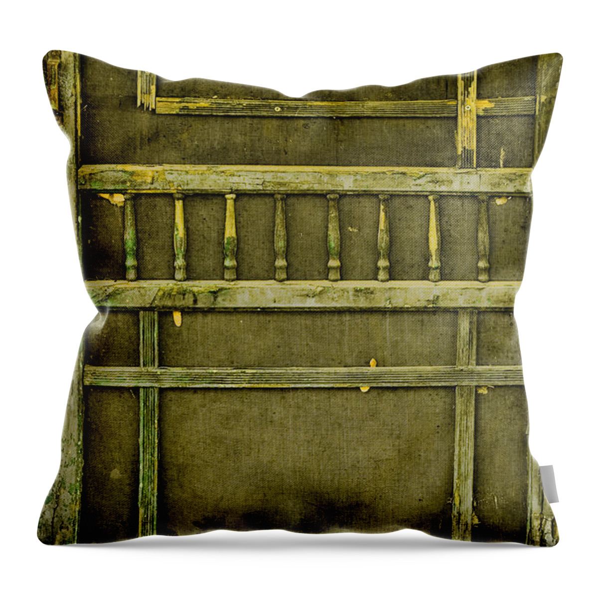 Old Door Throw Pillow featuring the photograph Abandoned by Bonnie Bruno