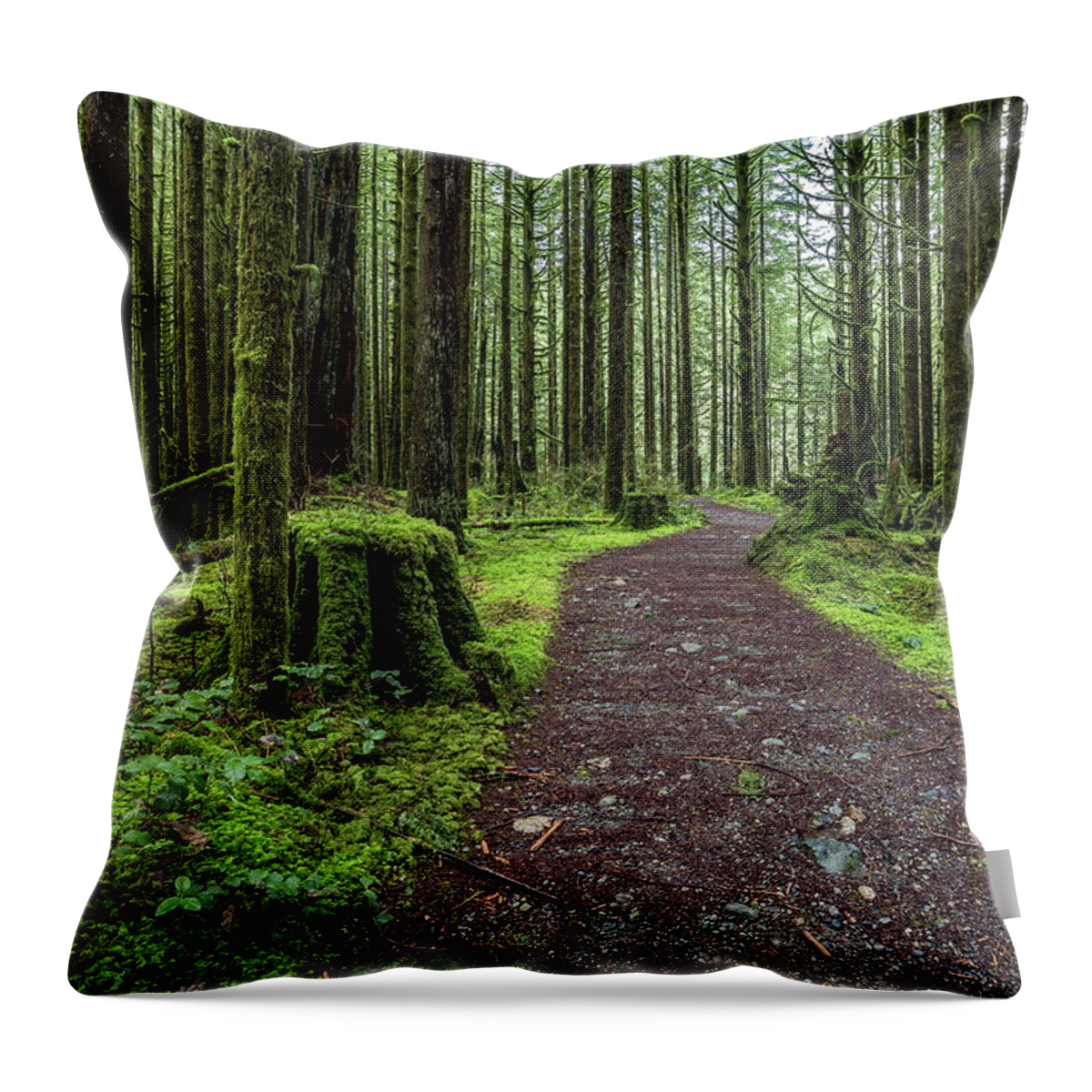 Alex Lyubar Throw Pillow featuring the photograph All covered with green moss magic forest by Alex Lyubar