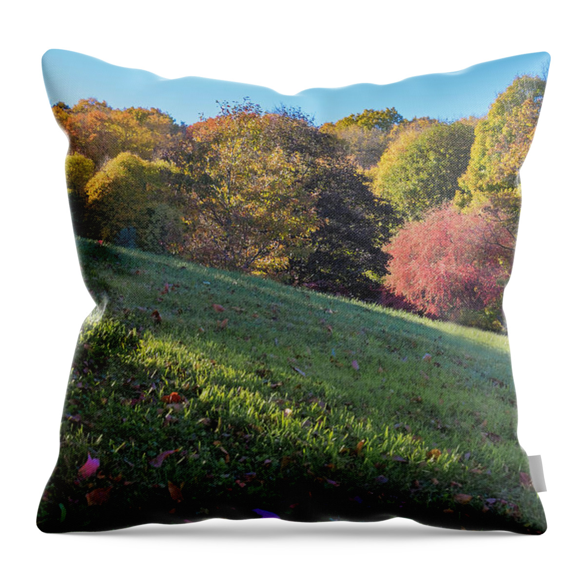 Vermont Autumn Throw Pillow featuring the photograph Autumn Palette by Tom Singleton
