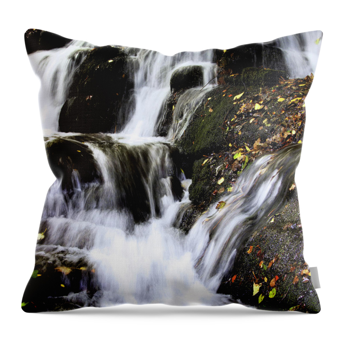 Badger Throw Pillow featuring the photograph Badger Dingle fall by Baggieoldboy