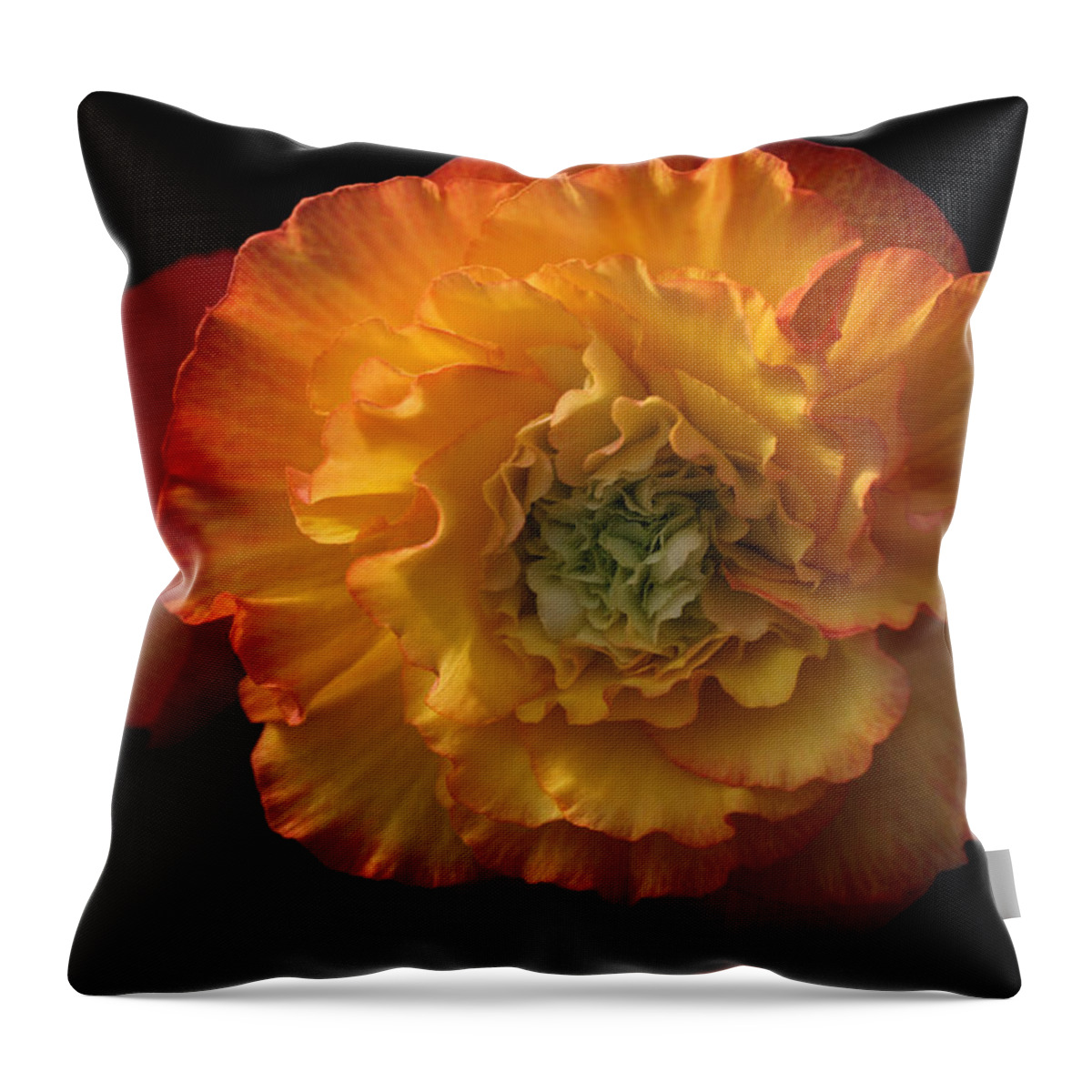 Flower Throw Pillow featuring the photograph Billowy Ruffles by Tammy Pool