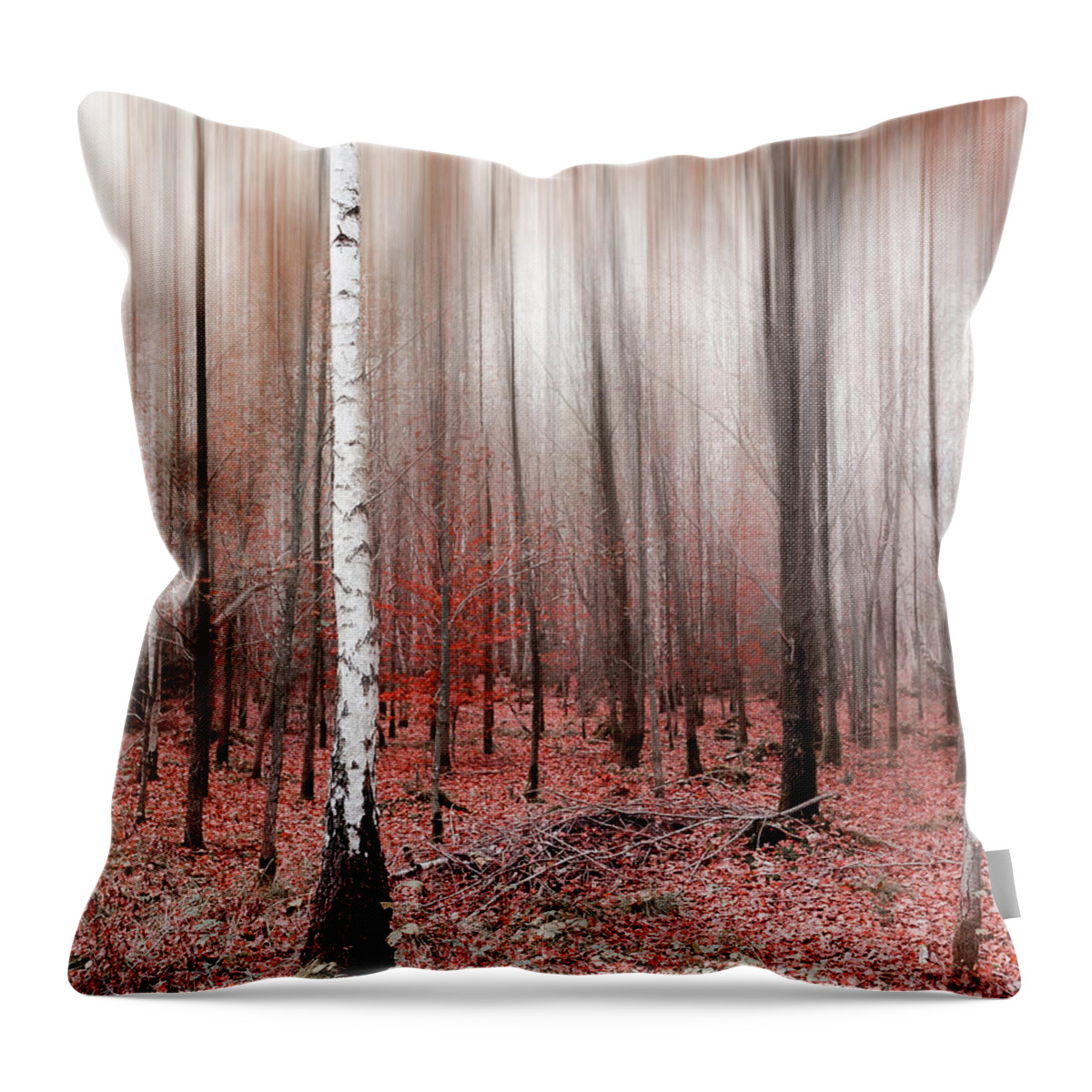Abstract Throw Pillow featuring the photograph Birchforest In Fall by Hannes Cmarits