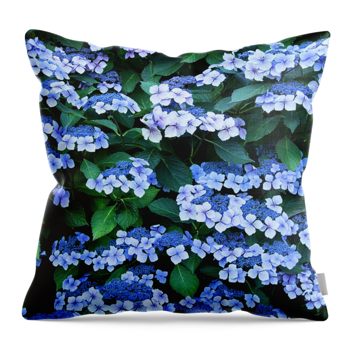 Theresa Tahara Throw Pillow featuring the photograph Miksang 12 Blue Hydrangea by Theresa Tahara