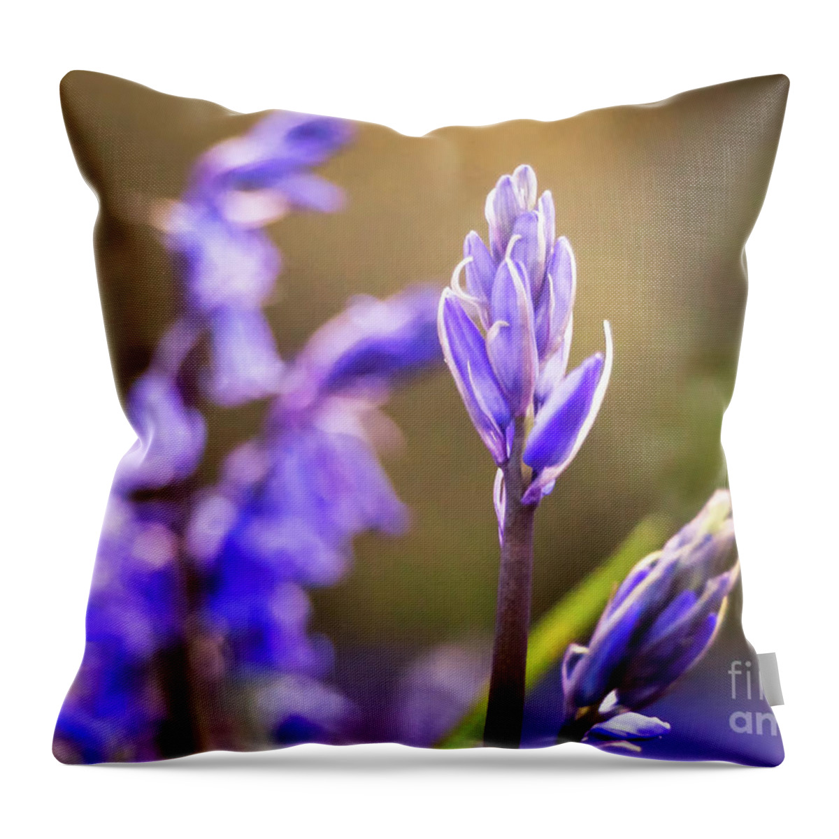 Mtphotography Throw Pillow featuring the photograph Bluebells by Mariusz Talarek