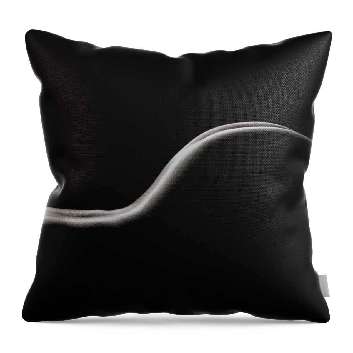 Nude Throw Pillow featuring the photograph Bodyscape 254 by Michael Fryd