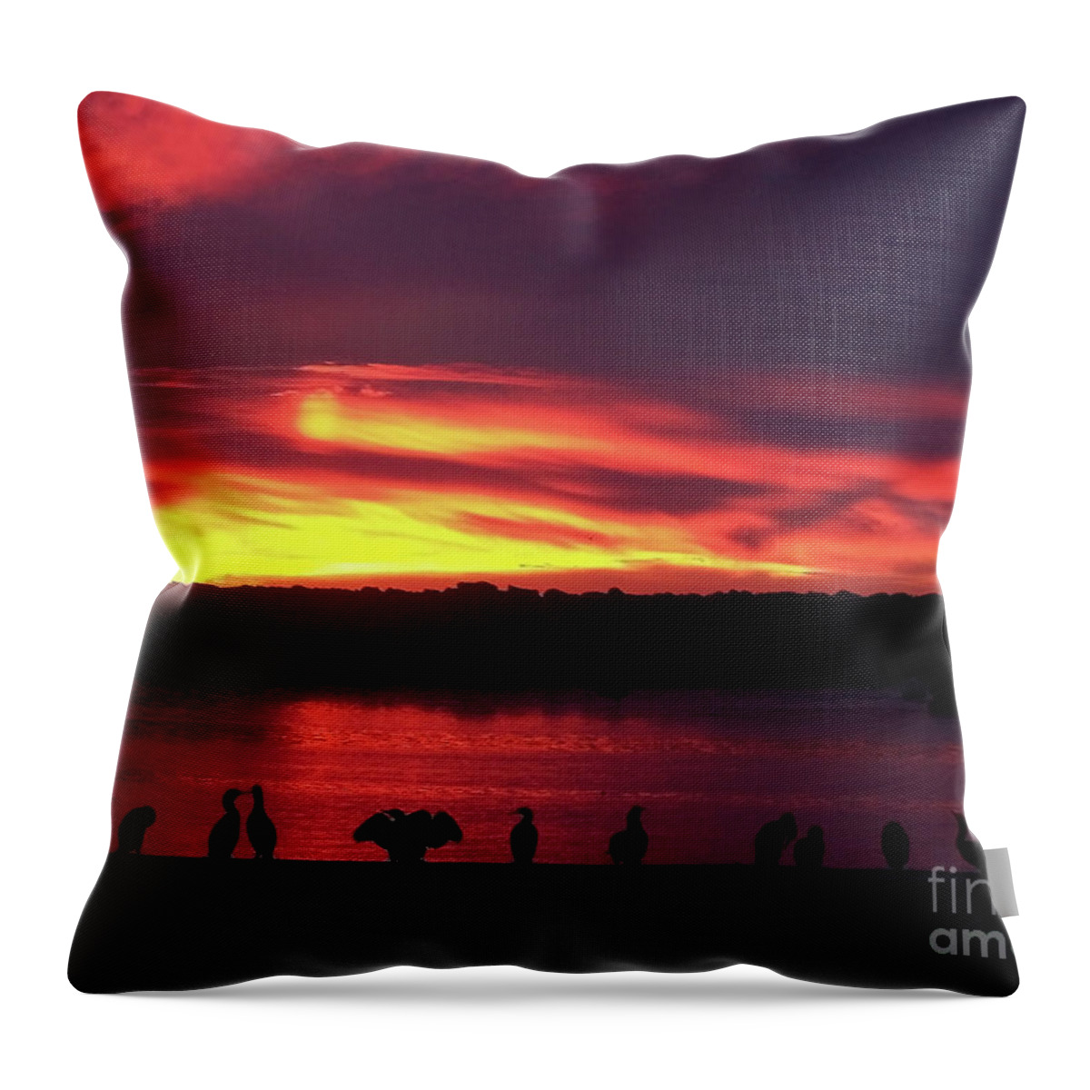 California Dreaming Throw Pillow featuring the photograph California Dreaming by Jennifer Robin