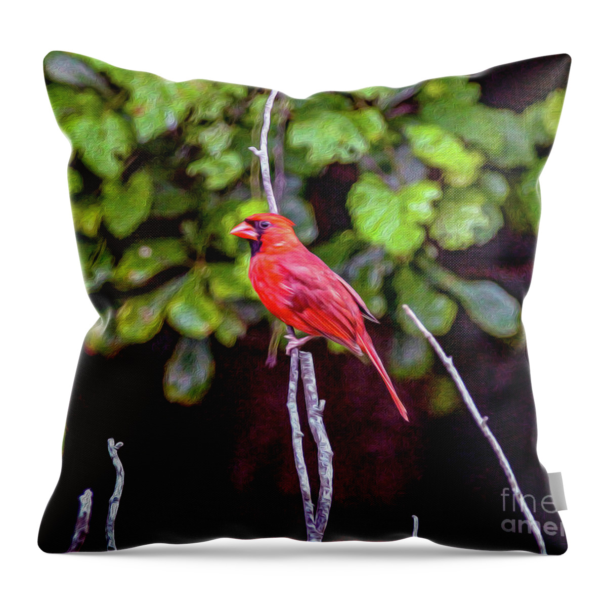 Nature Throw Pillow featuring the painting Cardinal Twigging a Break by DB Hayes