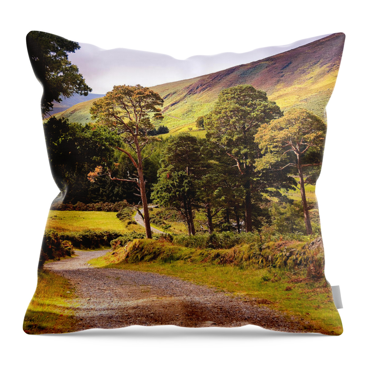Ireland Throw Pillow featuring the photograph Celtic Spirit. Wicklow Mountains. Ireland by Jenny Rainbow