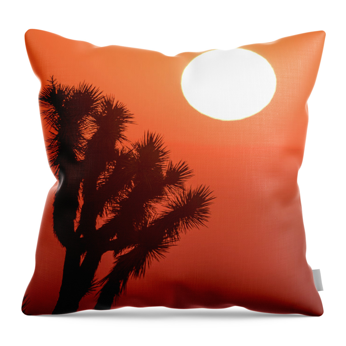 Tree Throw Pillow featuring the photograph Desert Sunrise by Vincent Bonafede
