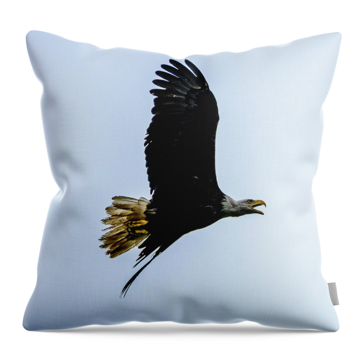 Eagle Throw Pillow featuring the photograph Eagle by Jerry Cahill