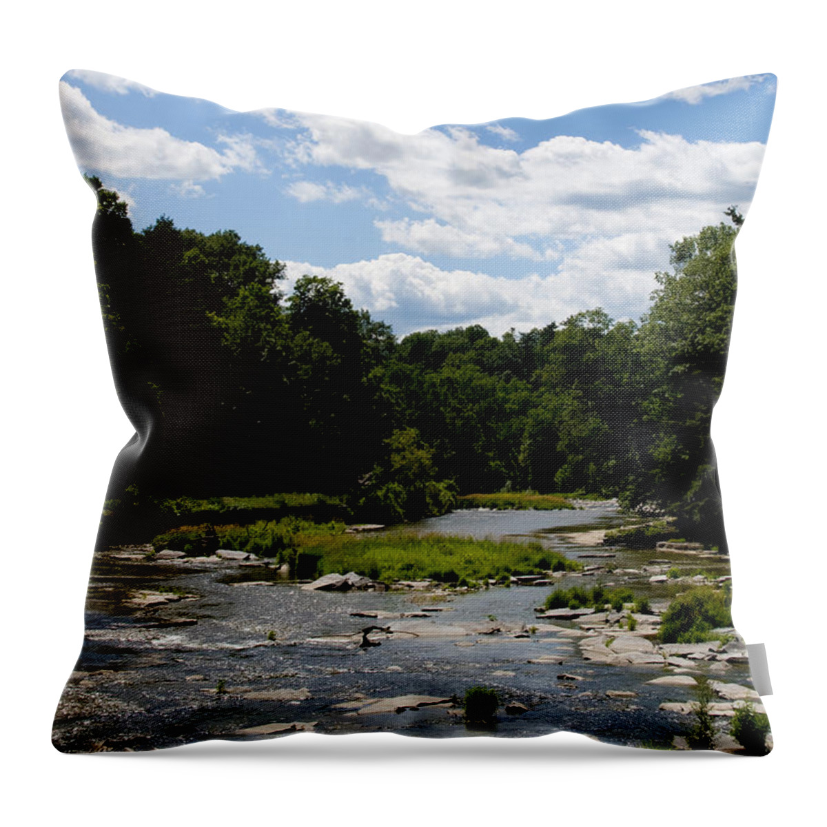 Ithacastock.com Throw Pillow featuring the photograph Fall Creek Summer by Monroe Payne