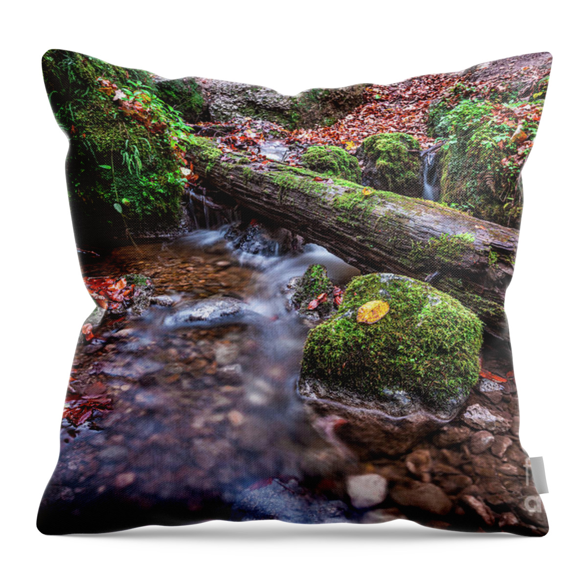 Autumn Throw Pillow featuring the photograph Fall In The Woods by Hannes Cmarits